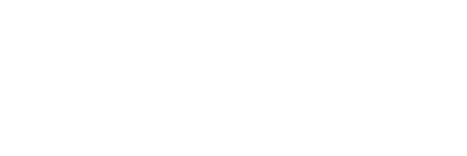 Seaflyer Official Website